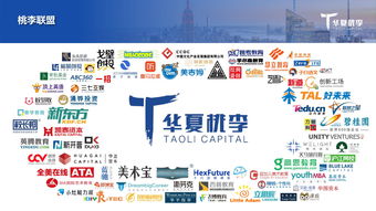 创业投资与数据驱动 199it引领互联网数据服务新趋势